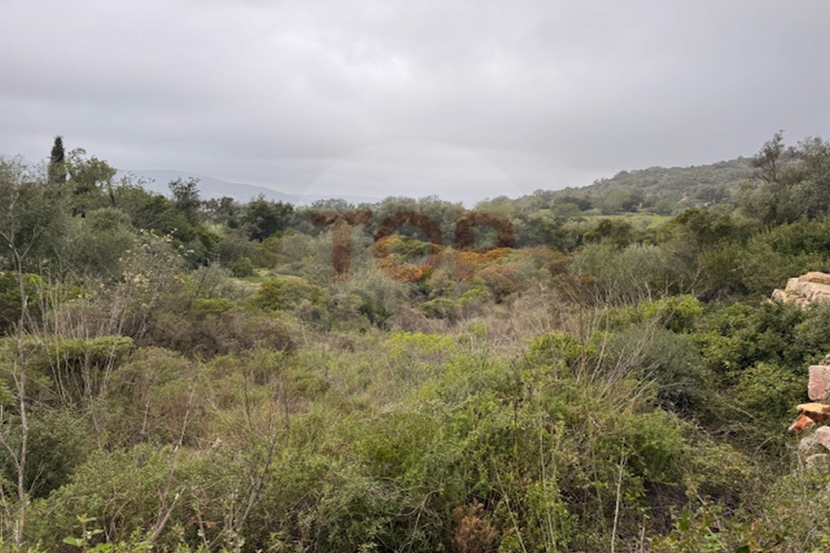 Terreno Rústico  Venda em Conceição e Estoi,Faro